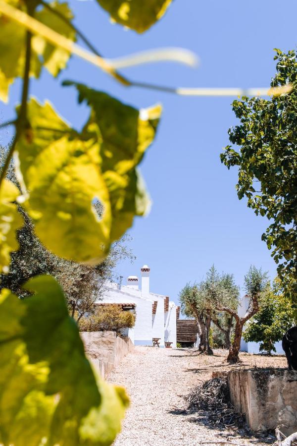 Monte Do Pomar Guest House Redondo Exterior foto